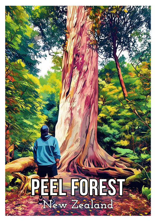 Peel Forest