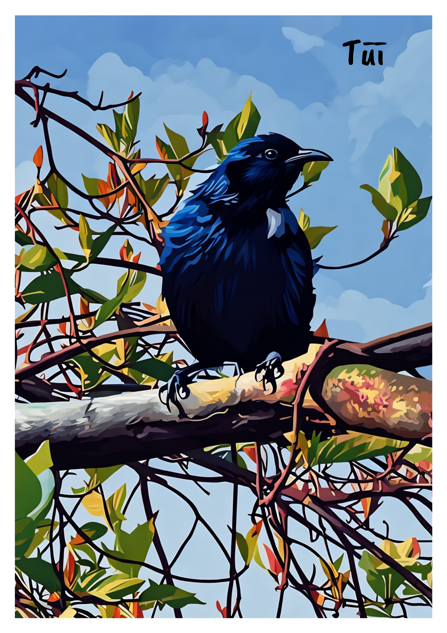 New Zealand Bird Art Print - Instant Digital Download (High Resolution PDF)