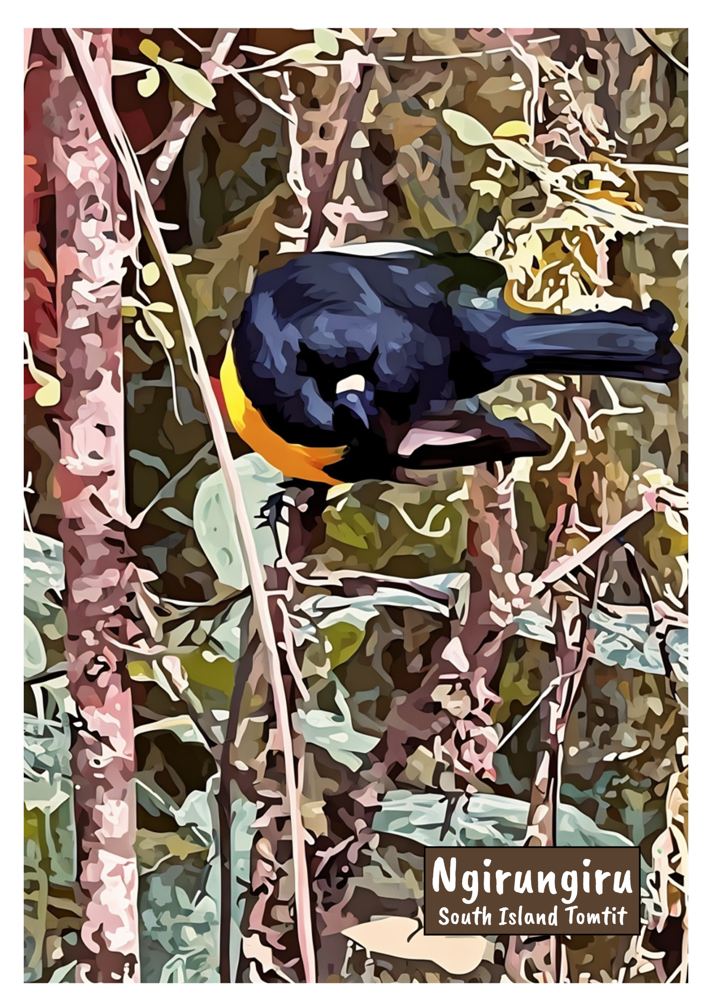 New Zealand Bird Art Print - Instant Digital Download (High Resolution PDF)