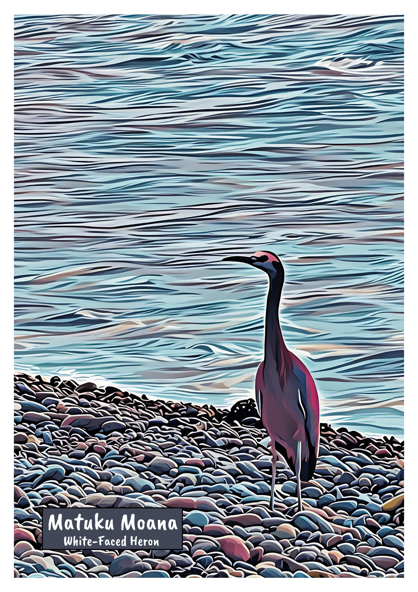 New Zealand Bird Art Print - Instant Digital Download (High Resolution PDF)